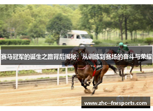 赛马冠军的诞生之路背后揭秘:从训练到赛场的奋斗与荣耀 赛马冠军的诞生之路背后揭秘:从训练到赛场的奋斗与荣耀