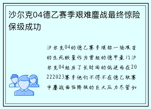 沙尔克04德乙赛季艰难鏖战最终惊险保级成功